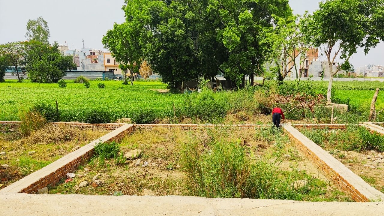 100 Sq Yds Plot Shastri Park